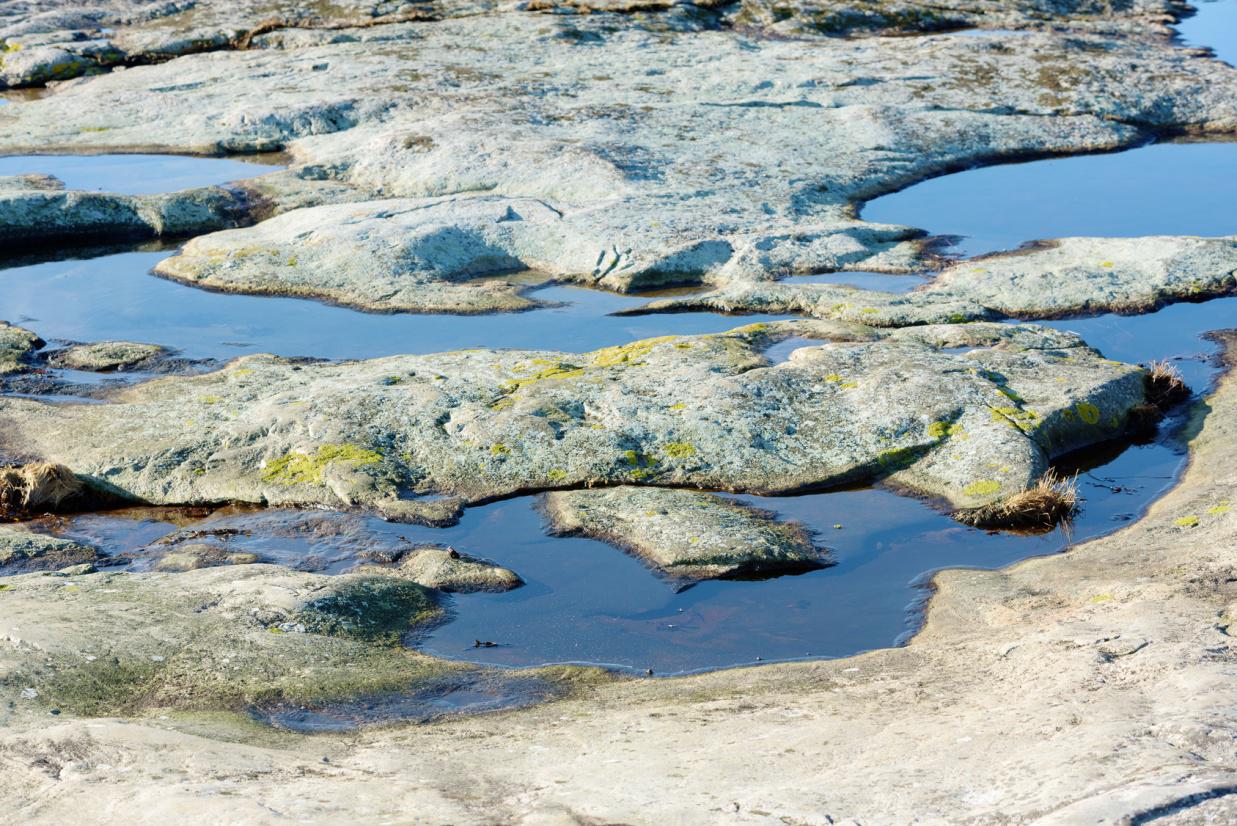 Water Ionizer fixes Hard Water